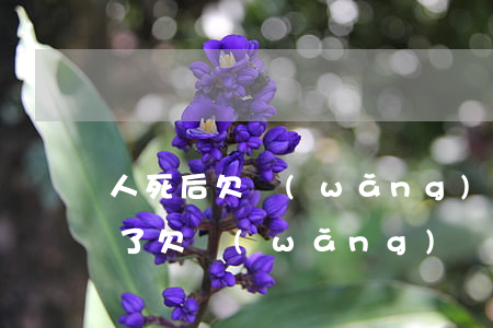 人死后欠網(wǎng)貸的錢要還嗎(人死了,欠網(wǎng)貸的錢還需要還嗎)