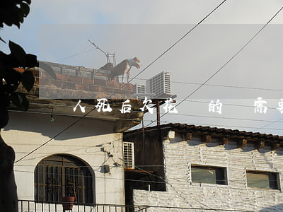 人死后欠花唄的錢需要家屬還嗎-