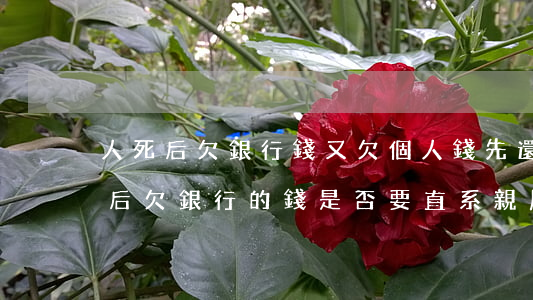 人死后欠銀行錢,又欠個人錢先還那個-人死后欠銀行的錢是否要直系親屬來還