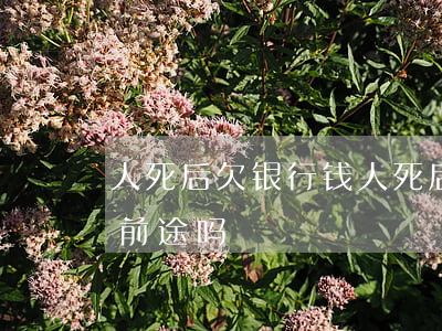 人死后欠银行钱(人死后欠银行钱会连累孩子前途吗)