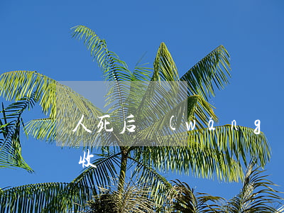 人死后網(wǎng)貸催收(人死了還會催收嗎)