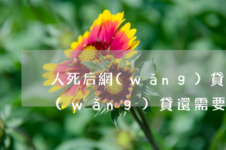人死后網(wǎng)貸還要還嗎(人死了 網(wǎng)貸還需要還嗎)