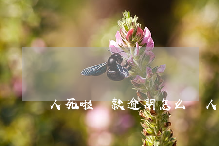 人死啦貸款逾期怎么辦(人死了貸款)