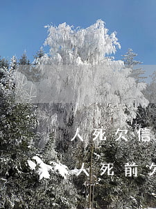 人死欠信用卡,銀行要求傳死亡證明,有影響沒（人死前欠信用卡）