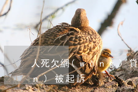 人死欠網(wǎng)貸七千塊錢(qián)被起訴