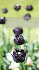 人民日報談網(wǎng)絡(luò)欺凌 未成人遭受網(wǎng)絡(luò)欺凌如何處理?