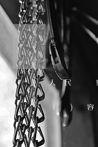 人民檢察院審查逮捕請求審查什么內(nèi)容