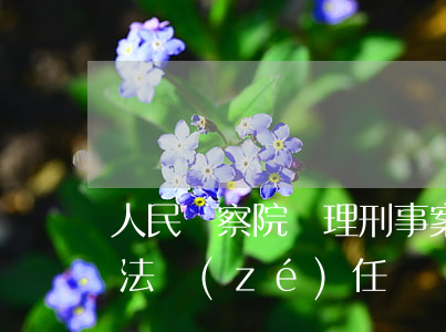 人民檢察院辦理刑事案件承擔(dān)司法責(zé)任嗎