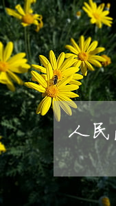 人民法院受理行政訴訟案件的范圍包括哪些?