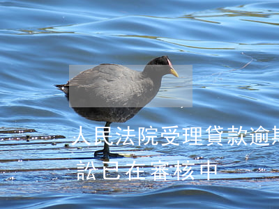 人民法院受理貸款逾期(貸款嚴重逾期法院訴訟已在審核中)