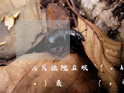 人民法院在破產(chǎn)債權(quán)最終確認(rèn)中的問題