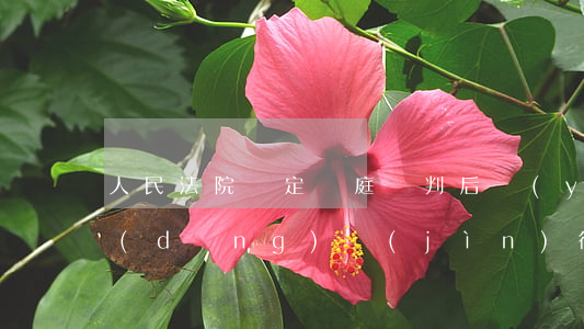 人民法院決定開庭審判后應(yīng)當(dāng)進(jìn)行哪些工作