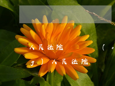 人民法院訴訟資產(chǎn)網(wǎng)(人民法院訴訟資產(chǎn)網(wǎng)拍賣公告)