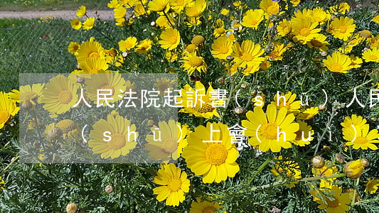 人民法院起訴書(shū)(人民法院起訴書(shū)上會(huì)寫(xiě)建議緩刑嗎)