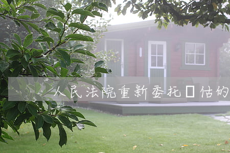人民法院重新委托評估的司法考量