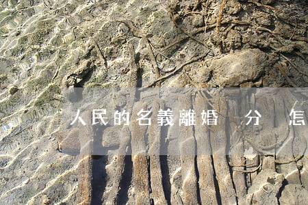 人民的名義離婚沒分戶怎么辦