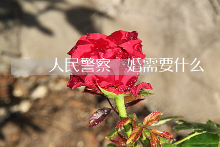 人民警察離婚需要什么條件(警察離婚率高嗎)
