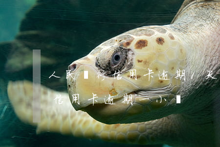 人民銀行信用卡逾期1天(農(nóng)行信用卡逾期一小時)