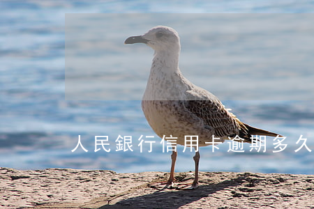 人民銀行信用卡逾期多久停止收款