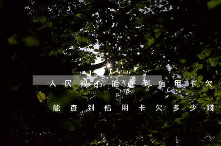 人民銀行能查到信用卡欠多少錢-人民銀行能查到信用卡欠多少錢嗎