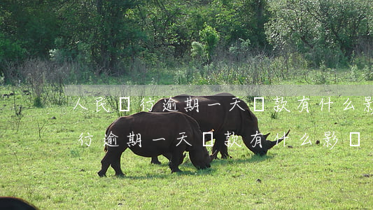 人民銀行逾期一天還款有什么影響-人民銀行逾期一天還款有什么影響嗎