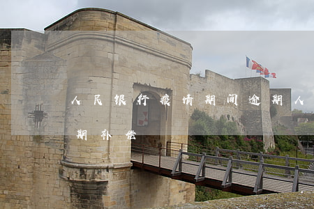人民银行疫情期间逾期(人民银行疫情期间逾期补偿)