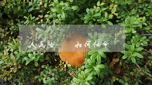 人民陪審員如何任命