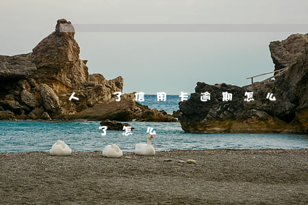 人沒了信用卡逾期怎么辦(信用卡沒還,如果人沒了怎么辦)