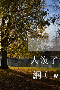 人沒了欠的網(wǎng)貸怎么辦(那些欠網(wǎng)貸沒還的怎么弄)