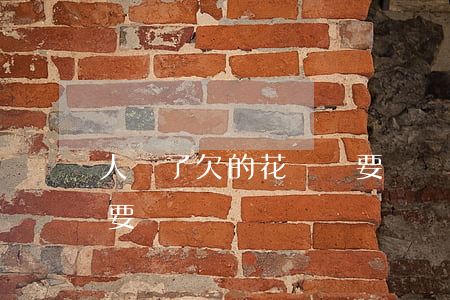 人沒了欠的花唄還要還嗎(人沒了欠的花唄還要還嗎)
