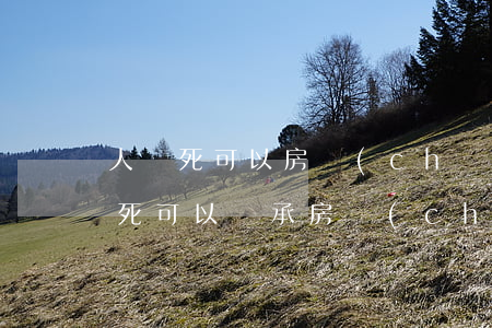 人沒死可以房產(chǎn)繼承嗎(老人沒死可以繼承房產(chǎn)嗎)