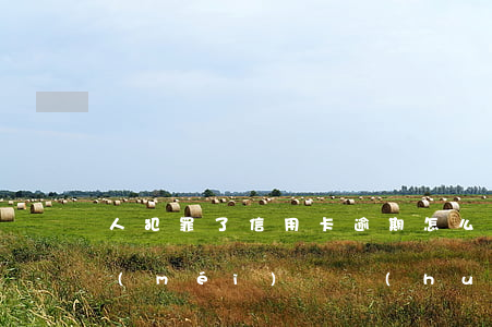 人犯罪了信用卡逾期怎么辦(犯人的信用卡沒(méi)還會(huì)怎么樣)