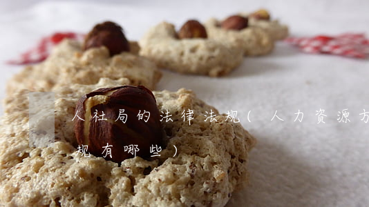 人社局的法律法规(人力资源方面的法律法规有哪些)