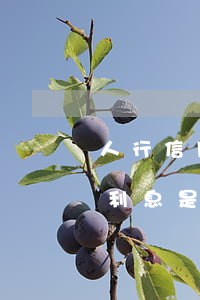 人行信用卡透支利息是多少(人行信用卡透支利息是多少)