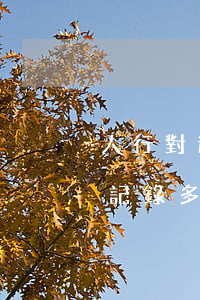 人行對逾期有新規(guī)定-人行逾期記錄多長時間