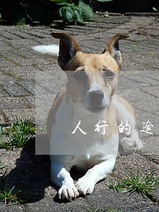 人行的逾期記錄銀行可以撤銷嗎-