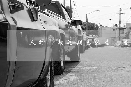 人行貸款逾期怎么查詢(查詢超了如何貸款)