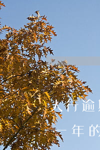 人行逾期一年的記錄怎么沒有了-人行逾期一年的記錄怎么沒有了呢