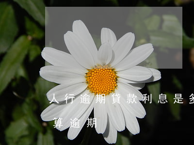 人行逾期貸款利息是多少(銀行貸款利息多久算逾期)