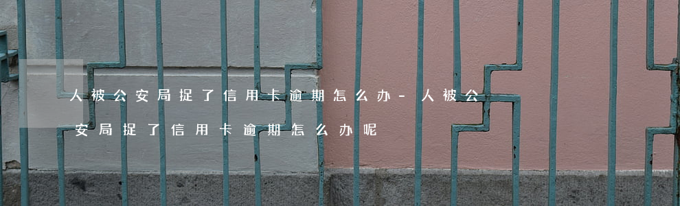 人被公安局捉了信用卡逾期怎么办-人被公安局捉了信用卡逾期怎么办呢