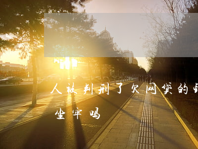 人被判刑了欠网贷的钱怎么办(欠网贷的钱会坐牢吗)