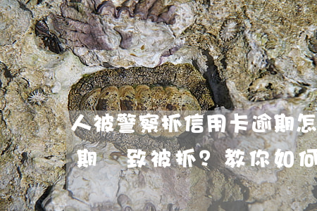 人被警察抓信用卡逾期怎么處理的，信用卡逾期導致被抓？教你如何應對警方處理
