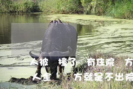 人被車撞了沒有住院對方全責怎么賠償(撞傷人全責對方就是不出院)