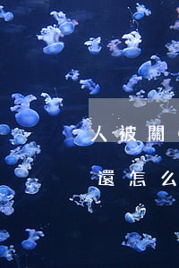人被關(guān)了信用卡沒(méi)還怎么辦-人被關(guān)了信用卡沒(méi)還怎么辦啊