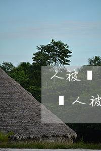 人被關(guān)看守所信用卡逾期怎么辦(人被關(guān)看守所信用卡逾期怎么辦理)