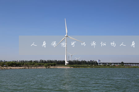人身保险可以诉讼吗(人身保险纠纷)