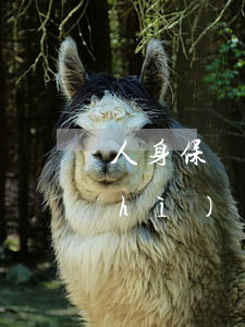 人身保險(xiǎn)合同糾紛如何質(zhì)證(人身保險(xiǎn)合同糾紛如何質(zhì)證)