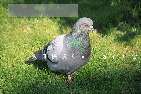 人身保險(xiǎn)合同終止條件是什么
