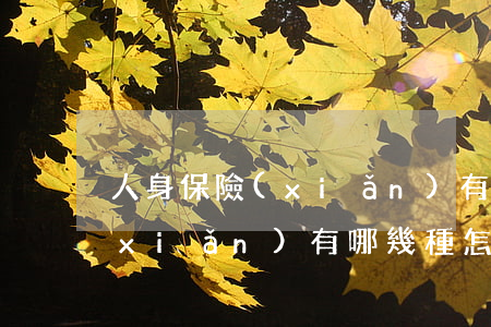人身保險(xiǎn)有哪幾種(人身保險(xiǎn)有哪幾種怎么買)