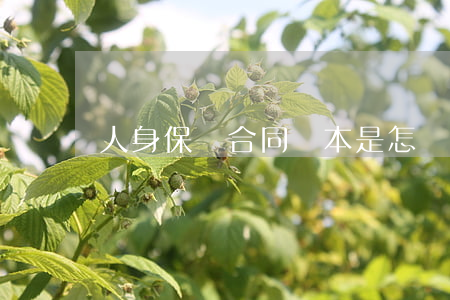 人身保險合同樣本是怎樣的